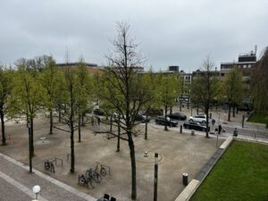 Was für ein toller verkaufsoffener Sonntag in Ahrensburg!!! Der Blick aus unserem Büro auf die Große Straße gestern und heute! 