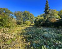 SCHRICK IMMOBILIEN: Volksdorf