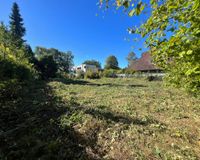 SCHRICK IMMOBILIEN: Volksdorf