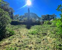 SCHRICK IMMOBILIEN: Volksdorf