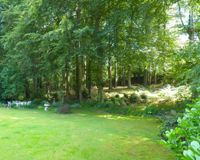 SCHRICK IMMOBILIEN: Volksdorf
